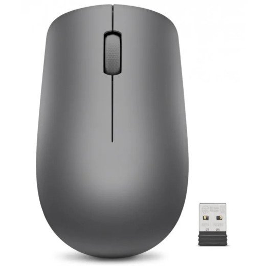 Lenovo 530 Souris sans fil - Sans fil 2,4 GHz via Nano USB - Jusqu’à 12 mois - Conception ambidextre - Graphite