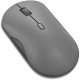 Lenovo 350 Souris silencieuse Bluetooth® 5.3 - Optique IR - Jusqu’à 36 mois (selon l’utilisation) - Windows 10, 11 - Gris lune