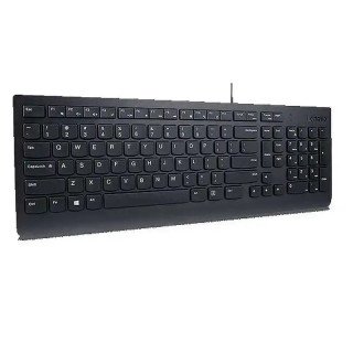 Lenovo Essential Clavier - Câblé via USB-A - Windows 10, Windows 11 - Touches extra-plates - AZERTY - Français - Noir