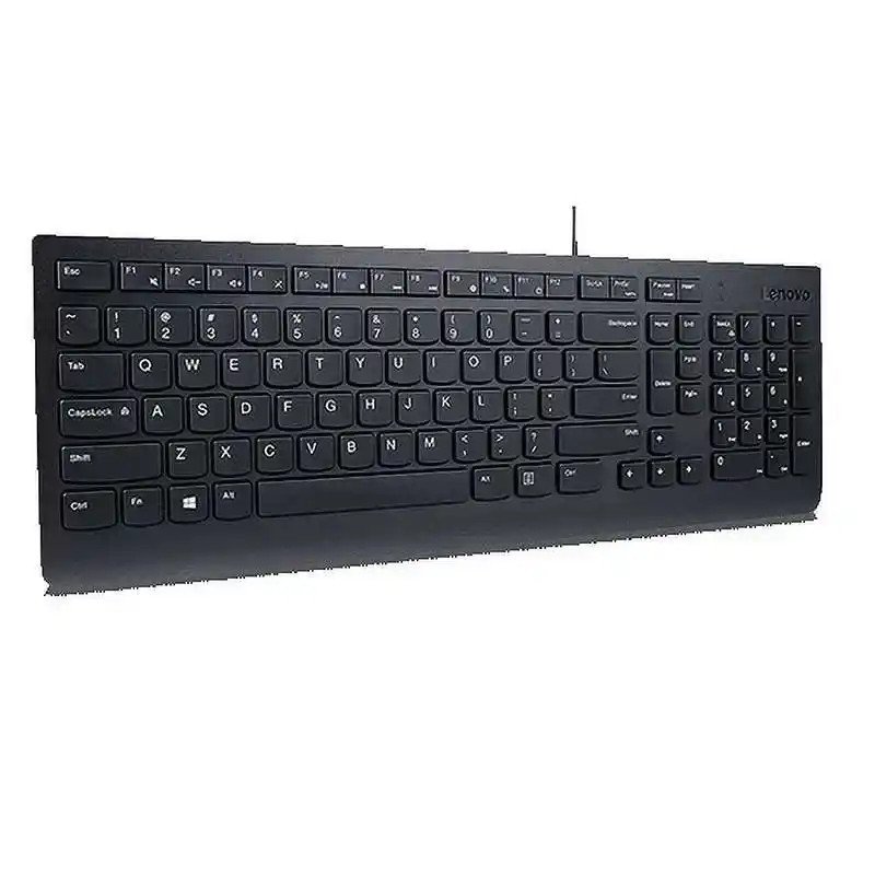 Lenovo Essential Clavier - Câblé via USB-A - Windows 10, Windows 11 - Touches extra-plates - AZERTY - Français - Noir