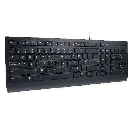 Lenovo Essential Clavier - Câblé via USB-A - Windows 10, Windows 11 - Touches extra-plates - AZERTY - Français - Noir