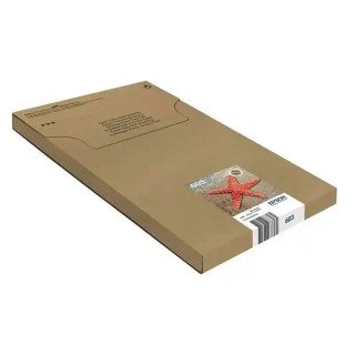 Epson série 603 Cartouches d’encre Étoile de mer Multipack 4-colours .
