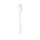 Apple Adaptateur - Original Apple - Apple Lightning vers Mini-Jack 3.5 mm - iPhone - iPad - Blanc