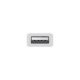 Apple USB-C to USB Adapter - Original Apple - Adaptateur USB - USB type A (F) pour 24 pin USB-C (M)