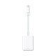 Apple Adaptateur - Original Apple - Lightning vers lecteur de carte SD Pour iPhone, iPad & iPod