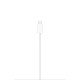 Apple Chargeur - Original Apple -  Chargeur MagSafe 1 mètre Pour iPhone & Airpods - Garantie 1an