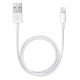 Apple Chargeur  - Original Apple - Lightning A1400 + Câble MD818 -  iPod, iPad & iPhone