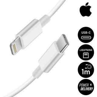 Apple Câble - Original Apple - USB-C vers Lightning (1m) Pour  iPhone, iPod, iPad, Mac & Airpods