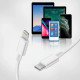 Apple Câble - Original Apple - USB-C vers Lightning (1m) Pour  iPhone, iPod, iPad, Mac & Airpods