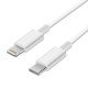 Apple Câble - Original Apple - USB-C vers Lightning (2m) Pour  iPhone, iPod, iPad, Mac & Airpods