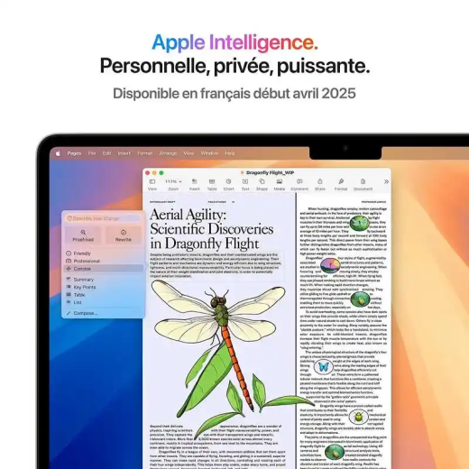 Apple MacBook Air 13,6" Écran Liquid Retina - Puce M4 - CPU 10 cœurs/ GPU 10 cœurs - 16 Go RAM - 256 Go SSD - Lumière Stellaire