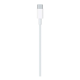 Apple Câble de charge - Certifié Original Apple - USB-C (2m) mètres - MacBook , iPad , Apple Watch , AirPod