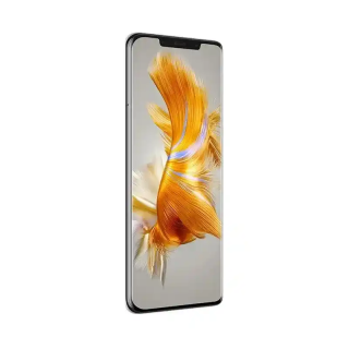 Huawei Mate 50 Pro 8GB Ram 256GB Stockage résolution QHD 1212 × 2616 pixels 4700 mAh argent