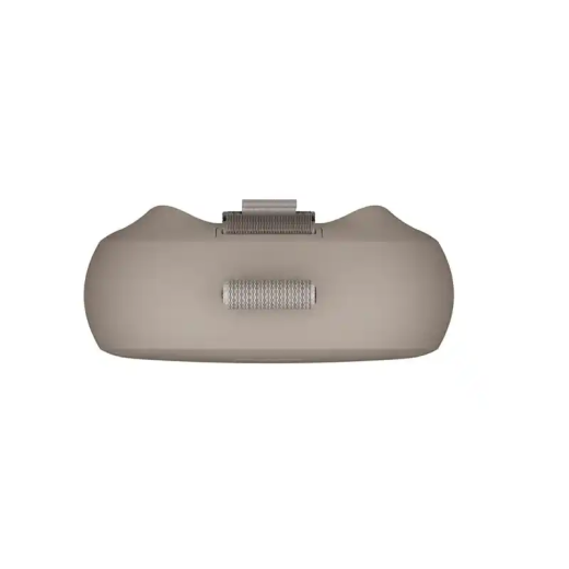 Bose Enceinte portable  SoundLink Micro (2e gén) Grès prisée pour son son clair avec des basses