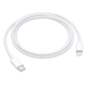 Apple Câble -Original Apple  - USB-C vers Lightning - (1m) mètre iPhone , iPad ,  AirPods - MacBook