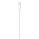 Apple Câble -Original Apple  - USB-C vers Lightning - (1m) mètre iPhone , iPad ,  AirPods - MacBook
