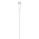 Apple Câble -Original Apple  - USB-C vers Lightning - (1m) mètre iPhone , iPad ,  AirPods - MacBook