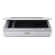 Epson WorkForce DS-51000WN Scanner à plat A3 avec connexion réseau et Wi-Fi .