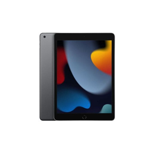 Apple iPad 9 -  pouces 10,2 - Wi Fi + 4G - 64Go -  A13  - Gris Sidéral - Garantie 1 An