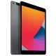 Apple iPad 9 -  pouces 10,2 - Wi Fi + 4G - 64Go -  A13  - Gris Sidéral - Garantie 1 An