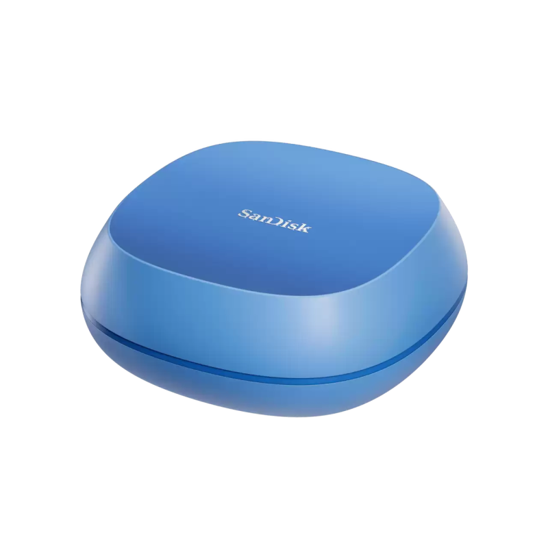 SanDisk Creator Desk Drive - 4 To - USB 3.2 Gen 2 Interface - 1000MB/s Vitesses de lecture séquentielle