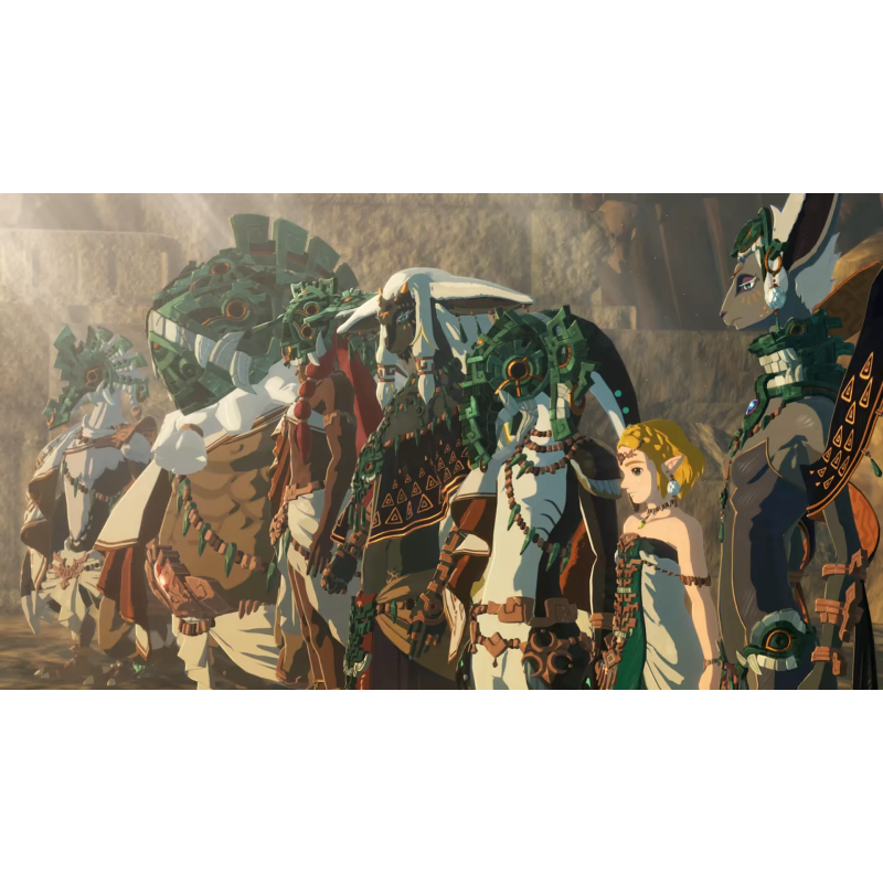 Nintendo CD jeu Hyrule Warriors : Les Chroniques du Sceau pour Nintendo Switch 2