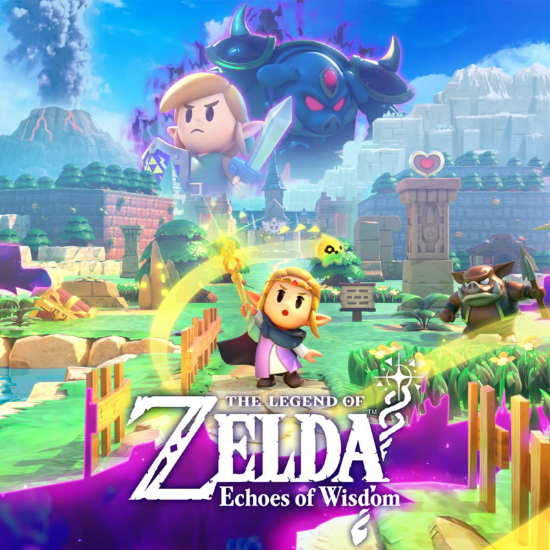 Nintendo CD jeu The Legend of Zelda: Echoes of Wisdom pour Nintendo Switch