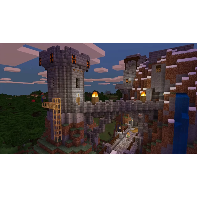 Nintendo CD jeu Minecraft pour Nintendo Switch