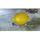 Nintendo CD jeu Pikmin 3 Deluxe pour Nintendo Switch