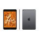 Apple iPad mini 5 -  pouces 7,9 - Wi Fi + 4G - 256Go -  A12 - Gris Sidéral - Garantie 1 an