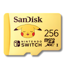 Carte mémoire Nintendo